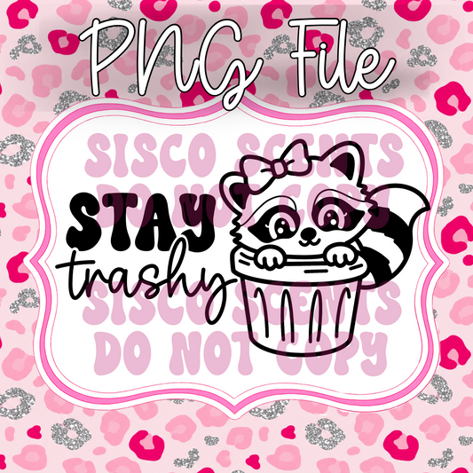 Stay Trashy Racoon PNG Digital Download