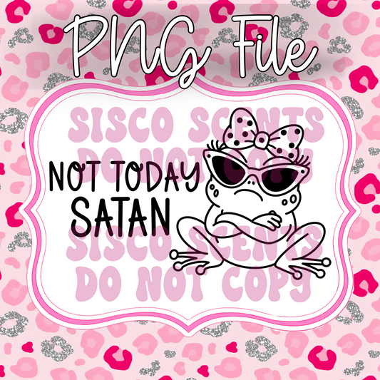 Not Today Frog PNG Digital Download